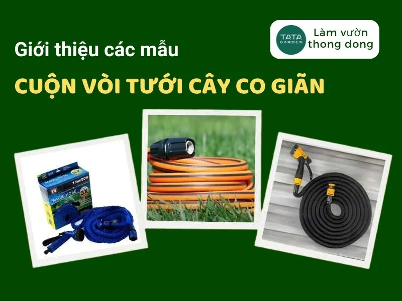 Dây Tưới Cây Co Giãn hãng nào tốt và sử dụng như thế nào