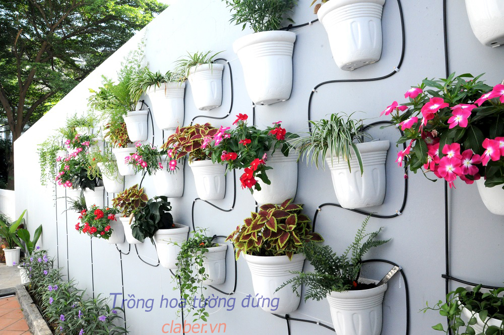 Ý nghĩa thiết thực của Hệ thống tưới nước tự động