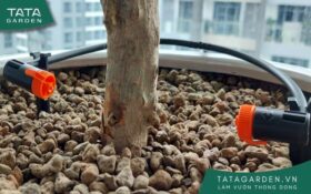 Béc tưới nhỏ giọt cuối dòng