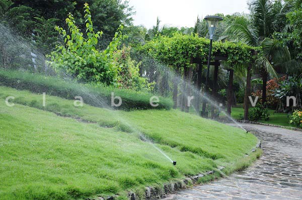 Thiết kế hệ thống tưới cây tự động, thiết kế hệ thống tưới phun mưa.