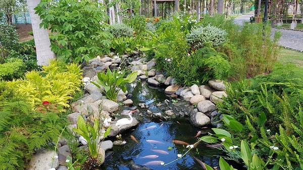 thiết kế hệ thống tưới tự động 