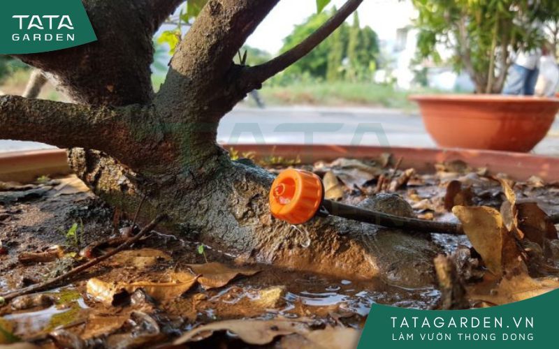 Đầu tưới nhỏ giọt bù áp