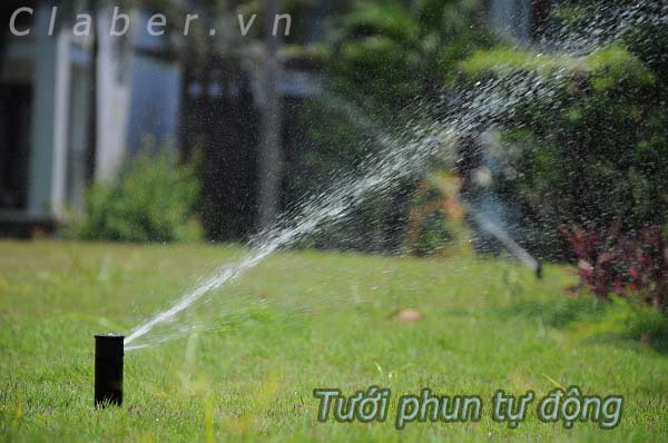 thiết kế hệ thống tưới tự động 