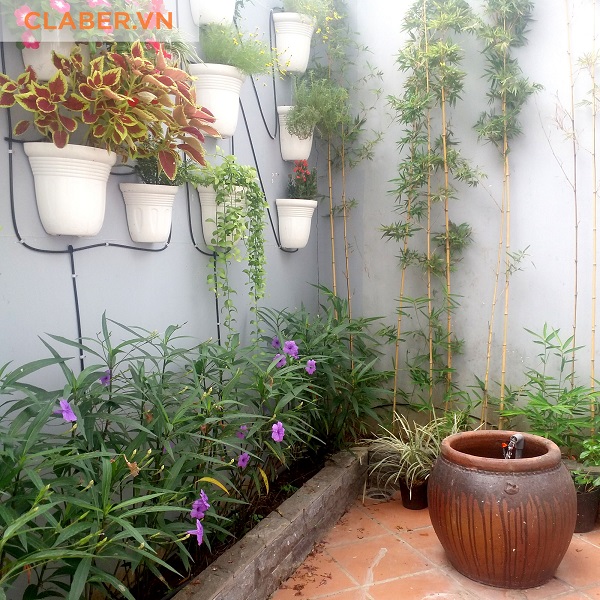 Trúc xanh cuối vườn