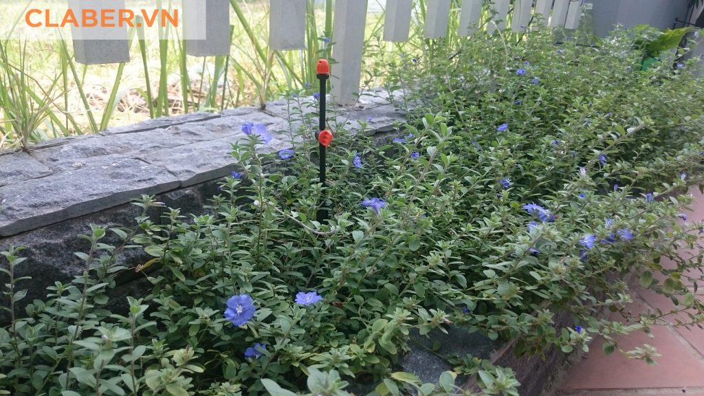 Giới thiệu hệ thống tưới tự động giá rẻ