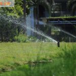 Hệ thống tưới tự động – Lắp đặt hệ thống tưới tự động giá rẻ