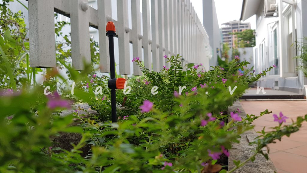 Hệ thống tưới cây tự động, thiết kế hệ thống tưới nhỏ giọt.