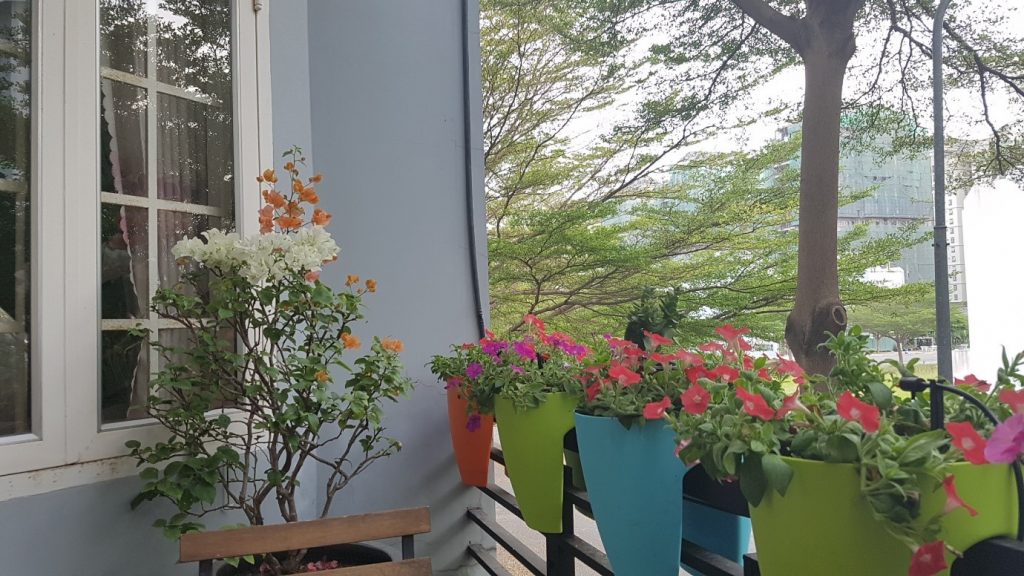 thiết kế hệ thống tưới tự động