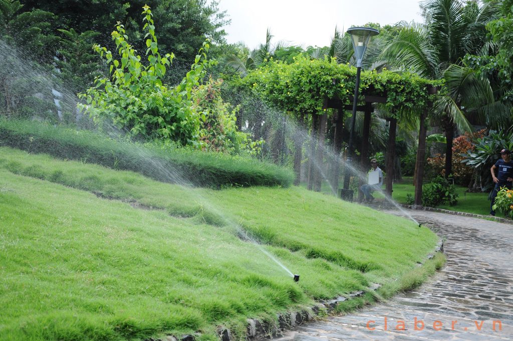 Thiết kế hệ thống tưới cây tự động – tưới mát khuôn viên, thảm cỏ