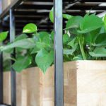 Thiết bị tưới tự động Italy cao cấp – chuyên dùng cho cây xanh trong nhà và văn phòng