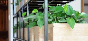 thiết bị tưới tự động Italy cao cấp