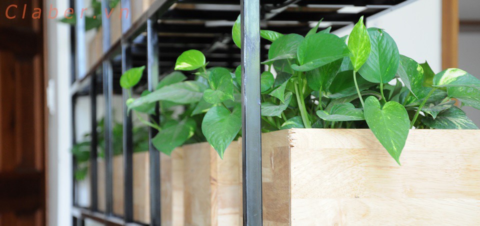 thiết bị tưới tự động Italy cao cấp