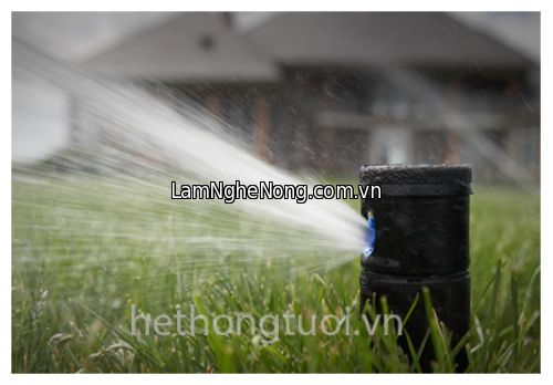 Béc tưới phun mưa Israel