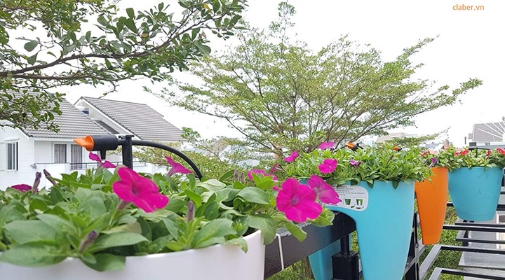 he thong tuoi nho giot gia dinh ban cong