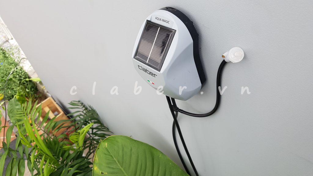 Timer hẹn giờ Aqua-Magic được gắn lên tường thoáng đãng để đón ánh sáng. Timer hẹn giờ Aqua-Magic được gắn lên tường thoáng đãng để đón ánh sáng.