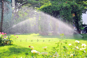 Hệ thống tưới tự động quận 9, quận 2, Thủ Đức, Hồ Chí Minh.