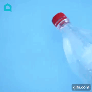 Cách chăm sóc cây ngày lễ