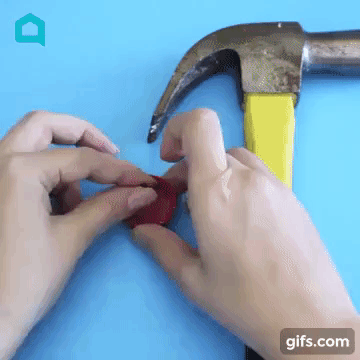 Cách chăm sóc cây ngày lễ
