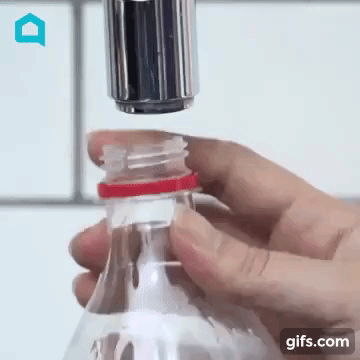 Cách chăm sóc cây ngày lễ