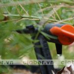 Hệ thống tưới nhỏ giọt ban công – phủ xanh cuộc sống