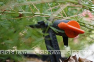 hệ thống tưới nhỏ giọt tự động ban công
