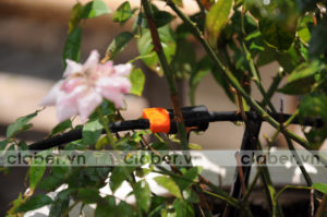 bán hệ thống tưới nhỏ giọt tại hà nội