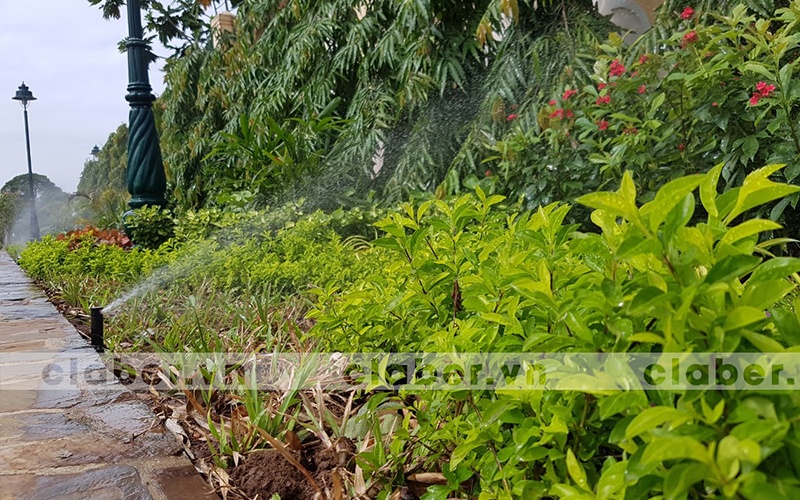 12 dau phun tuoi cay tu dong mang xanh hep