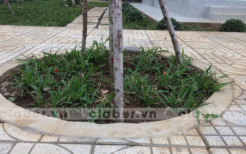 4 dau phun tuoi cay tu dong mang xanh hep