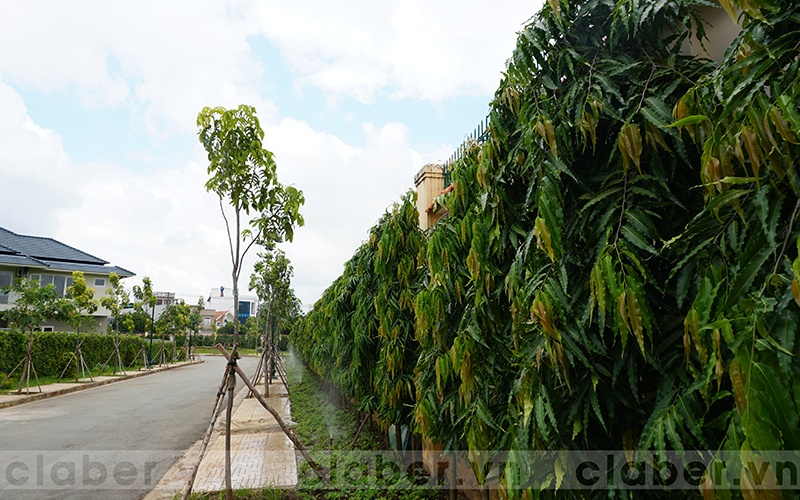 5 dau phun tuoi cay tu dong mang xanh hep
