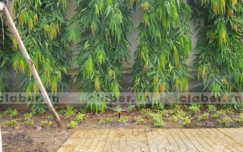 6 dau phun tuoi cay tu dong mang xanh hep