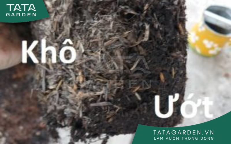 So sánh đất khô và ướt