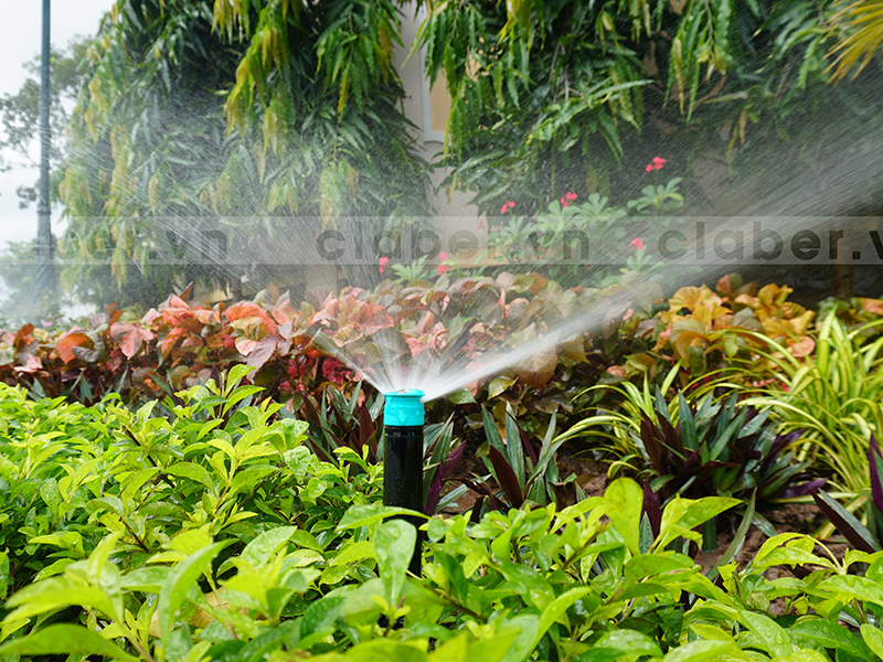 hệ thống tưới phun mưa vườn cây đa dạng