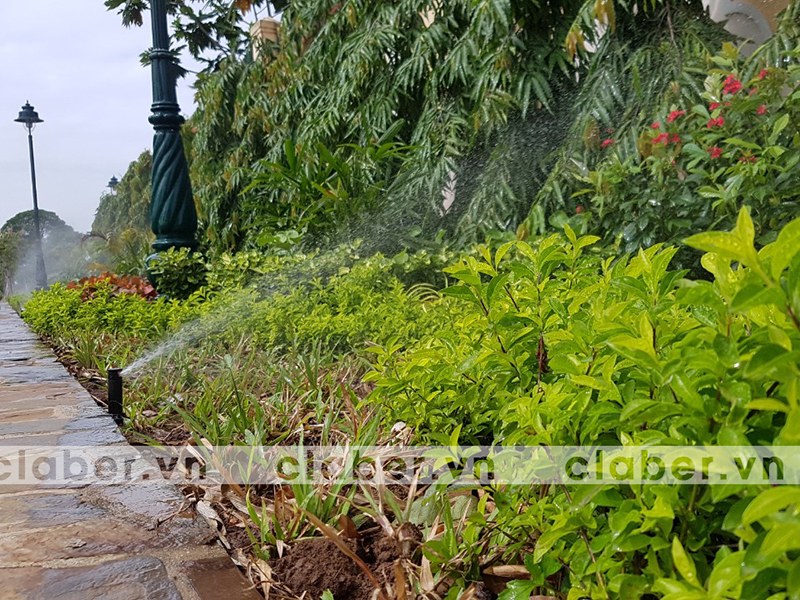 hệ thống tưới phun mưa vườn lớn