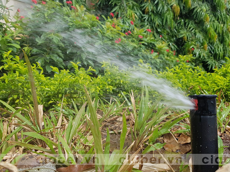 đầu tưới phun mưa tự xoay