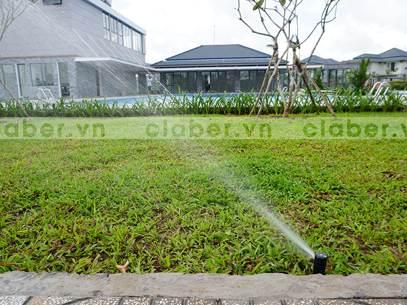 hệ thống tưới phun mưa bể bơi