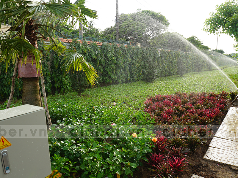 hệ thống tưới phun mưa vườn đa dạng cây