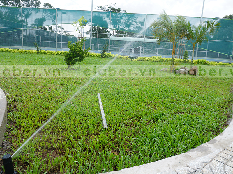 hệ thống tưới phun mưa góc nhọn