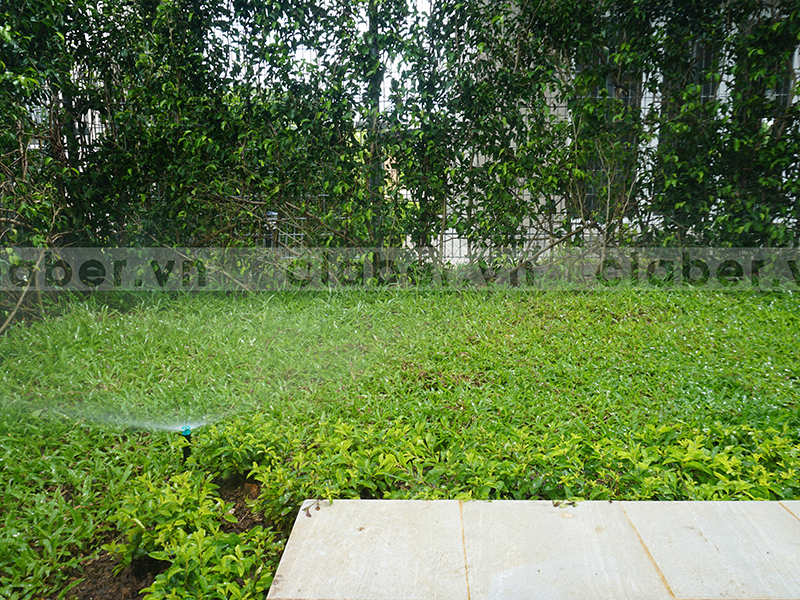 hệ thống tưới phun mưa góc vườn