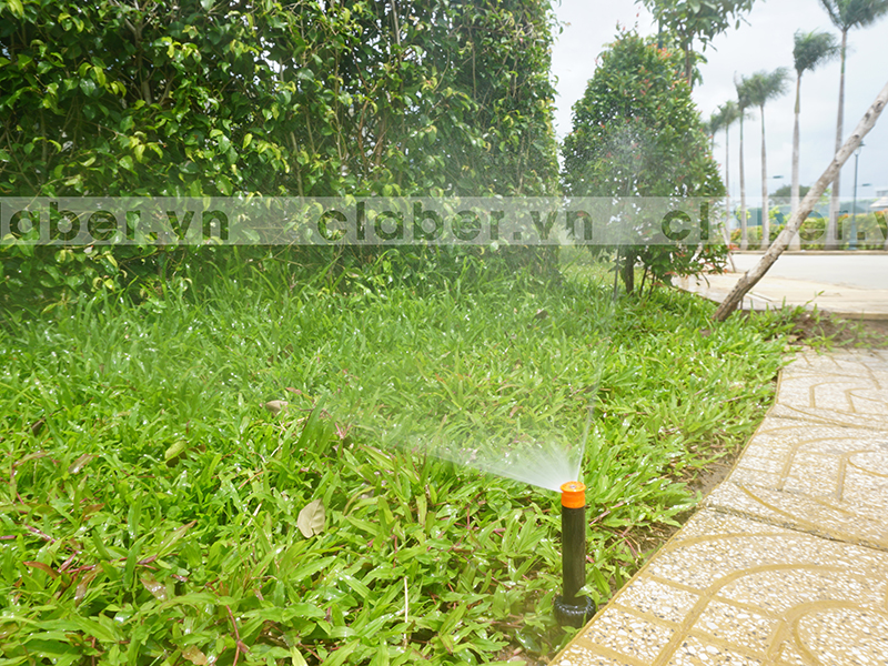 hệ thống tưới phun mưa vỉa hè