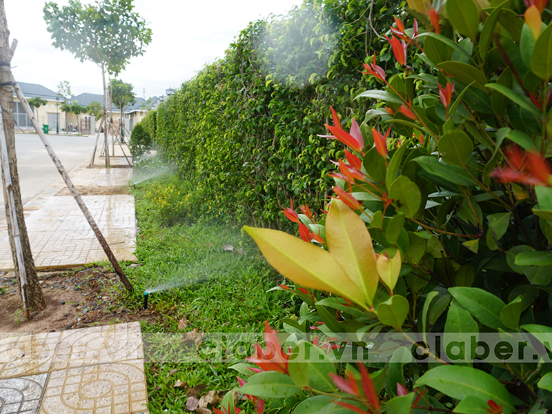 hệ thống tưới phun mưa vỉa hè trước nhà