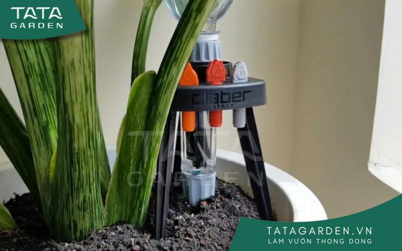 Đầu tưới nhỏ giọt gắn chai nước cho 1 chậu cây.