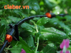 Nhà cung cấp thiết bị tưới phun sương uy tín ở Thành phố Hồ Chí Minh