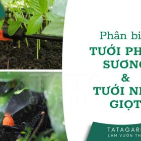 Phân biệt thiết bị tưới phun sương và tưới nhỏ giọt