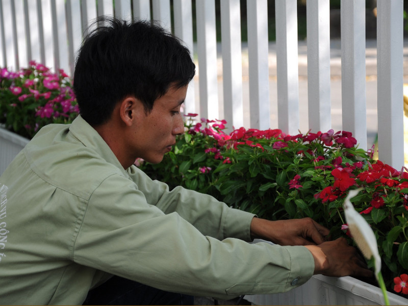 Cả thế giới đang bàn tán về thiết bị tưới cây nhỏ giọt