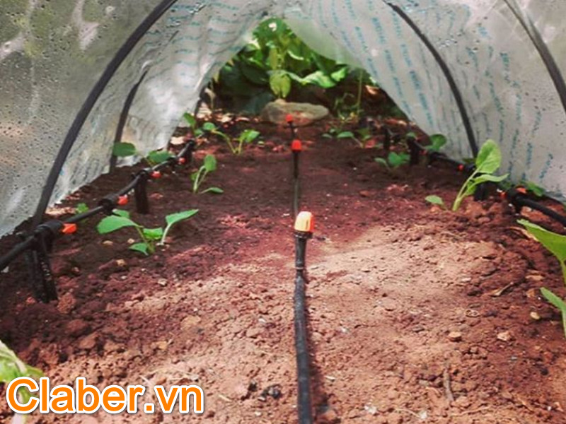 6 hiểu lầm tai hại về thiết bị tưới nông nghiệp mà ai cũng mắc phải