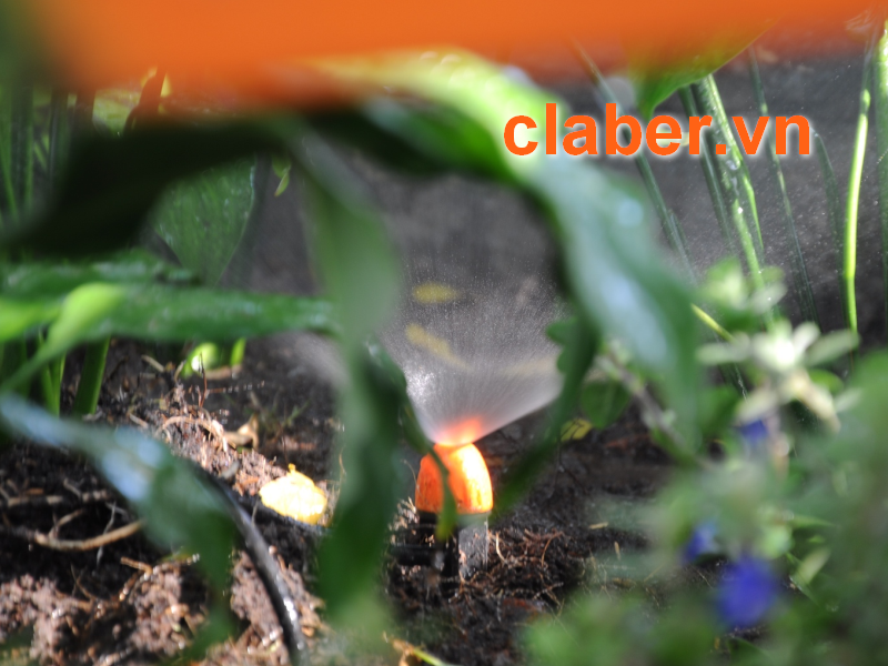 Ưu nhược điểm của thiết bị tưới phun sương ít ai biết đến