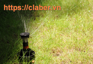 Vì sao bạn nên mua thiết bị tưới phun sương