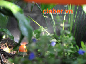 Xu hướng sử dụng thiết bị tưới phun sương năm 2019