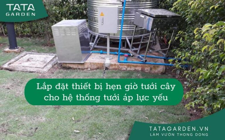Lắp đặt thiết bị hẹn giờ tưới cây cho hệ thống tưới áp lực yếu