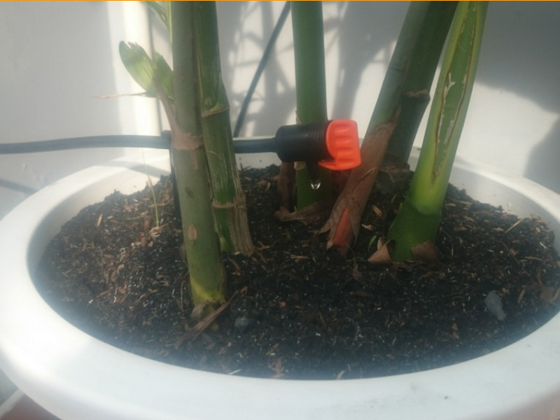 Thiết bị tưới dành riêng cho cây cảnh trồng trong chậu